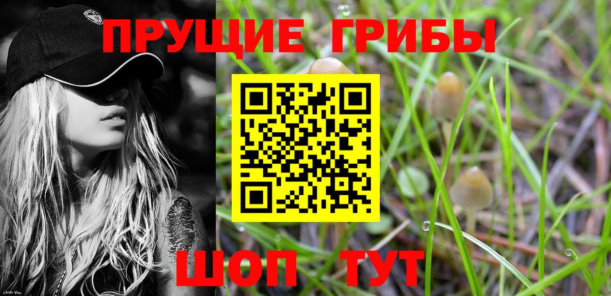 Галлюциногенные грибы мицелий Строитель